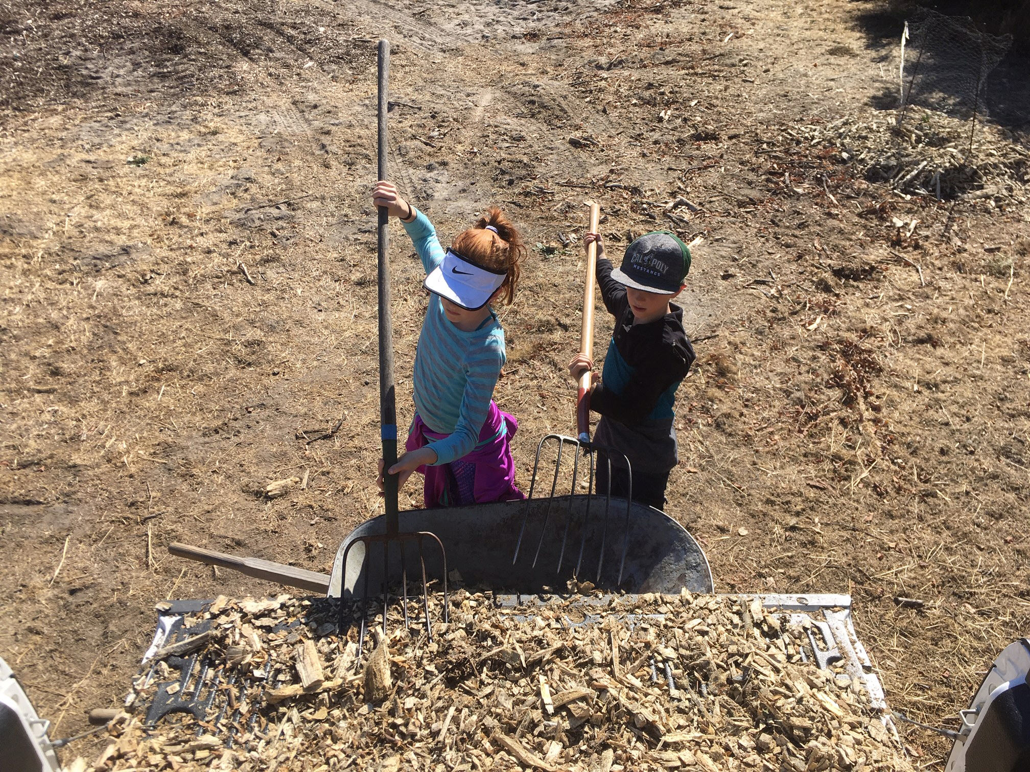 Loading mulch into the wheelbarrow!